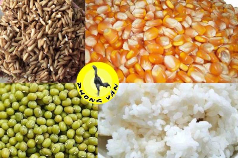 Dinh dưỡng bài bản – Nền móng của một chiến kê thiện chiến