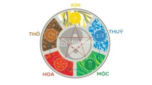 Giai Ma Cach Soi Cau Ngu Hanh Theo Phong Thuy Chuan Xac