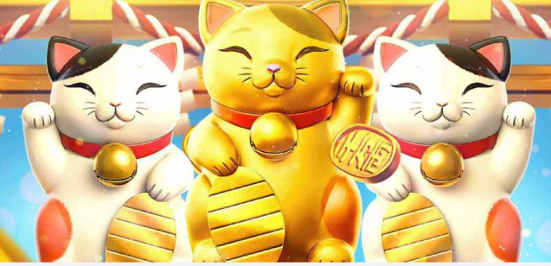 Mèo Thần Tài Tip Club - Khám Phá Cách Chơi và Tính Năng 1 Mèo Thần Tài Tip Club - Khám Phá Cách Chơi và Tính Năng