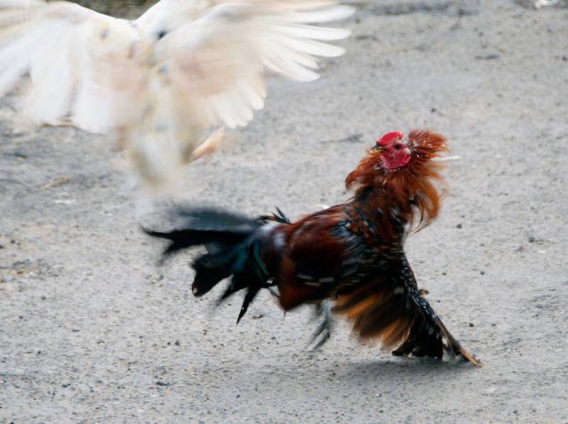 Tập luyện theo lộ trình – Không vội, không ẩu